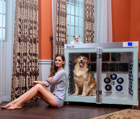 220V 2500W Suszarka dla zwierząt domowych 6 dmuchaw Niski poziom hałasu do pielęgnacji psów